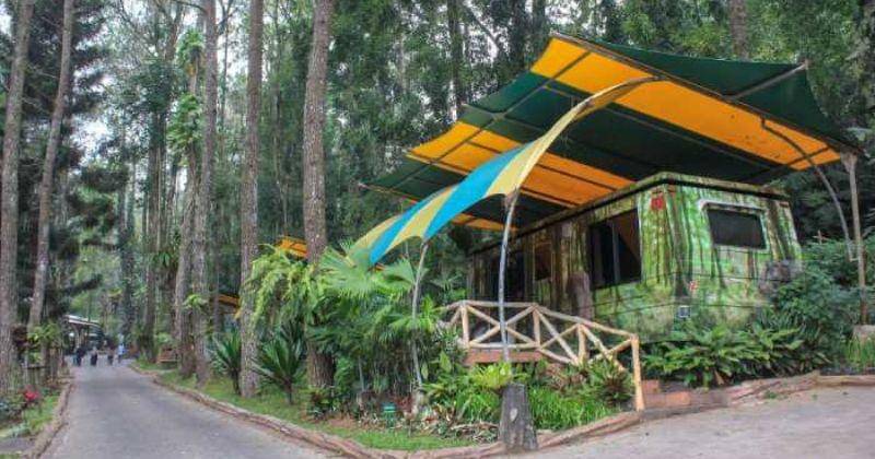 Safariresorttamansafari.com